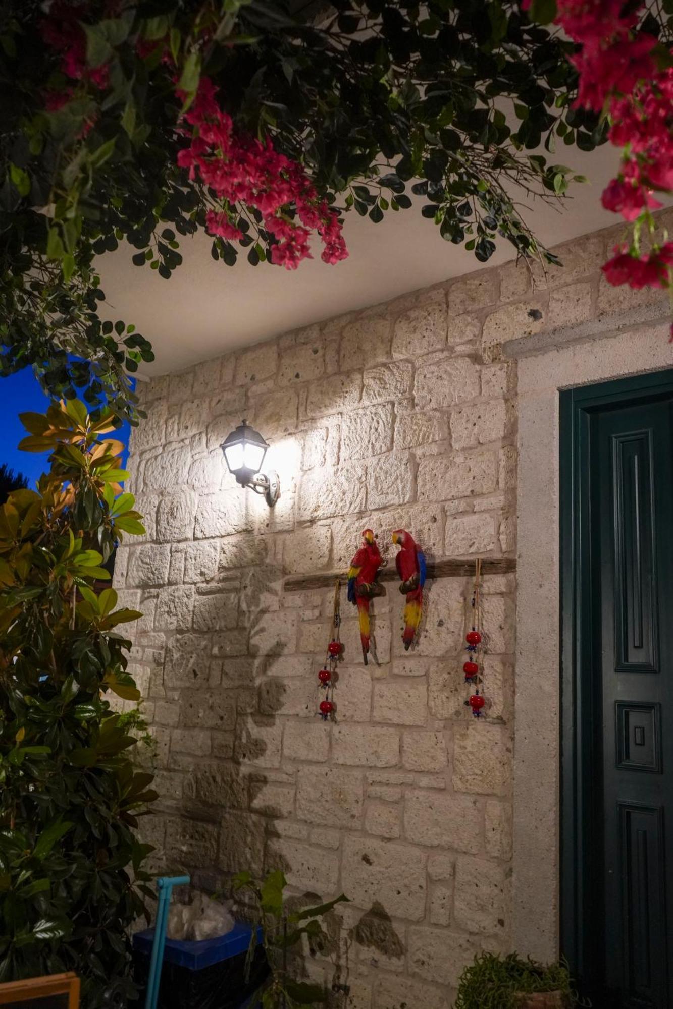 Muezeyyen Hanim Konagi אלאקאטי מראה חיצוני תמונה